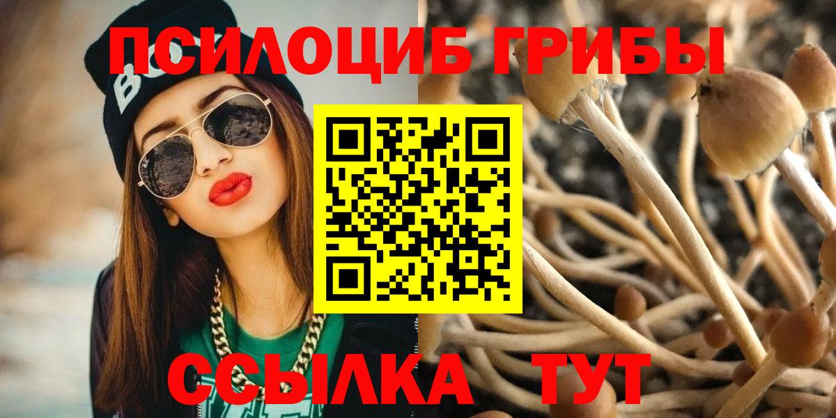 Псилоцибиновые грибы MAGIC MUSHROOMS  Псилоцибиновые грибы прущие грибы  Вход с VPN  Добрянка 